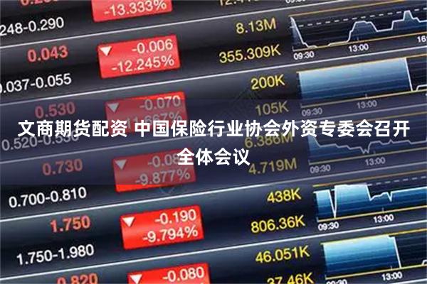 文商期货配资 中国保险行业协会外资专委会召开全体会议